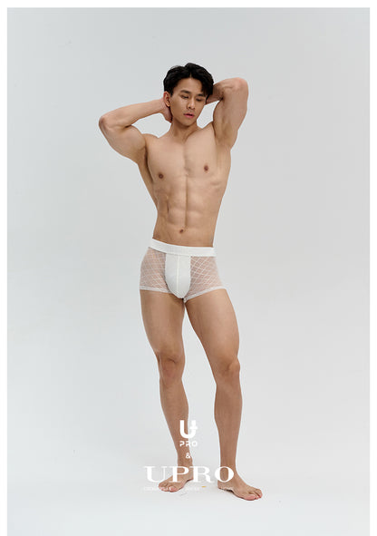 Men's Mesh Breathable Triangle UnderwearUPRO-11089